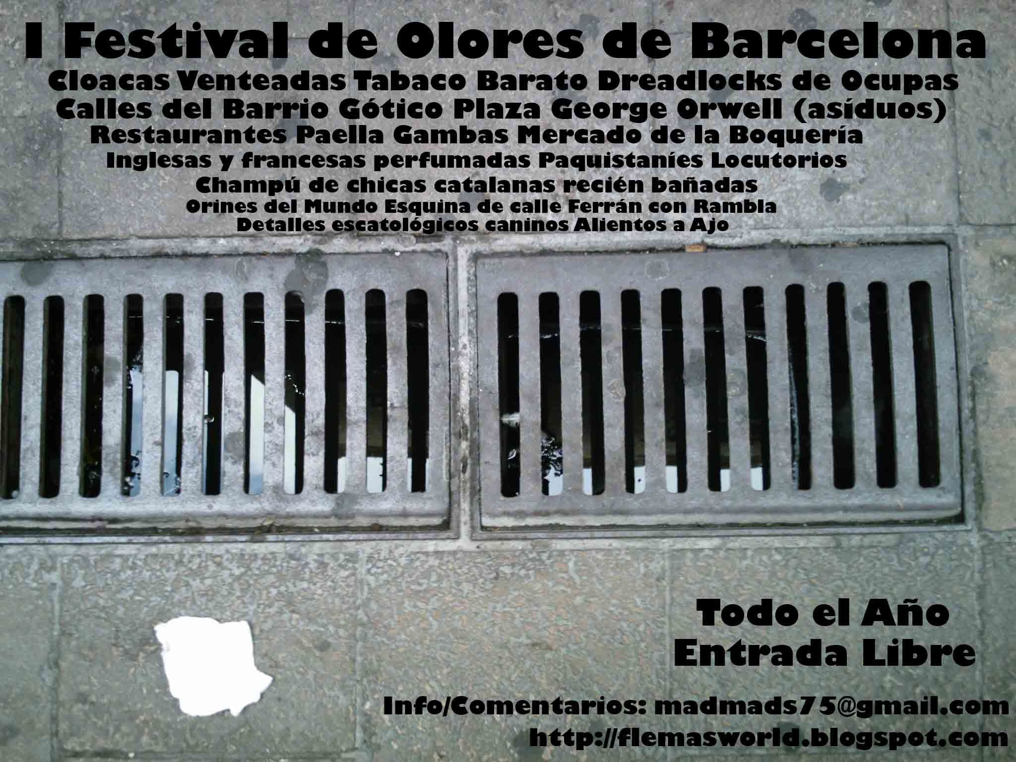 Festival de Olores.JPG